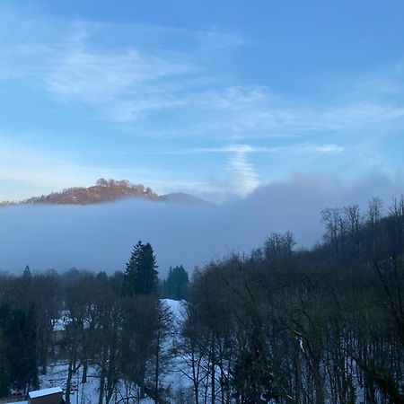 Ferienwohnung Relax Im Wald Bad Harzburg Exterior foto