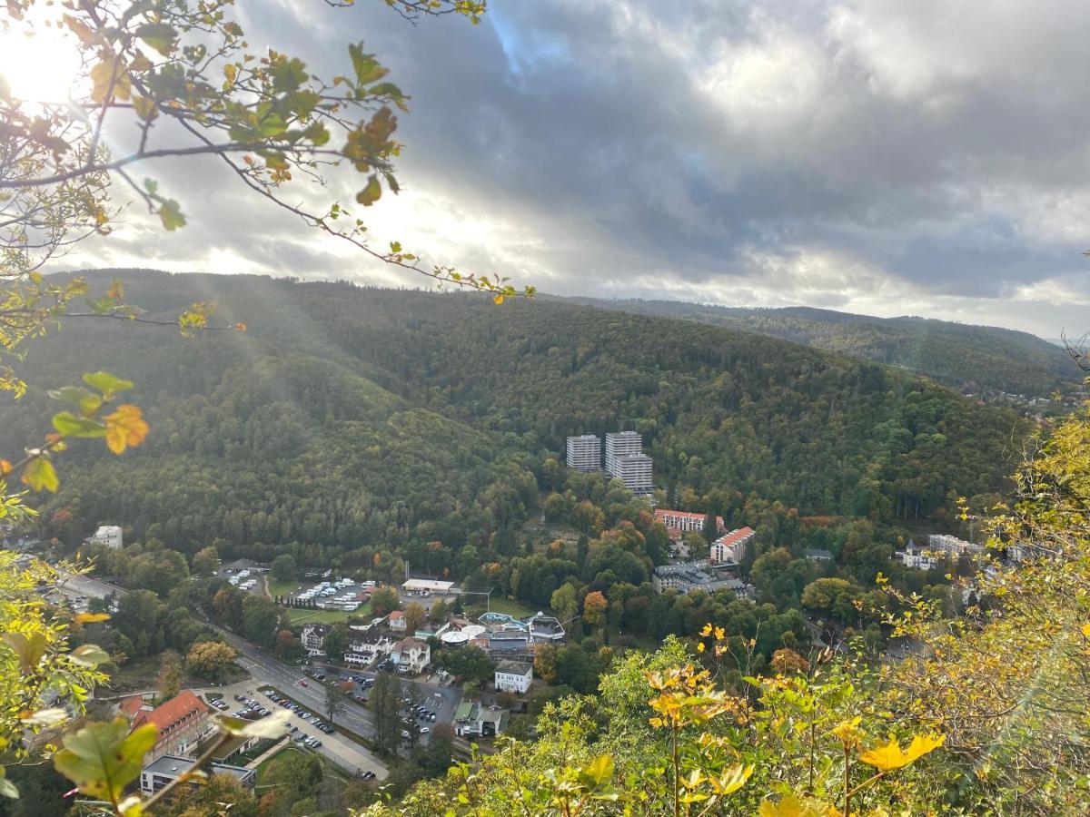 Ferienwohnung Relax Im Wald Bad Harzburg Exterior foto