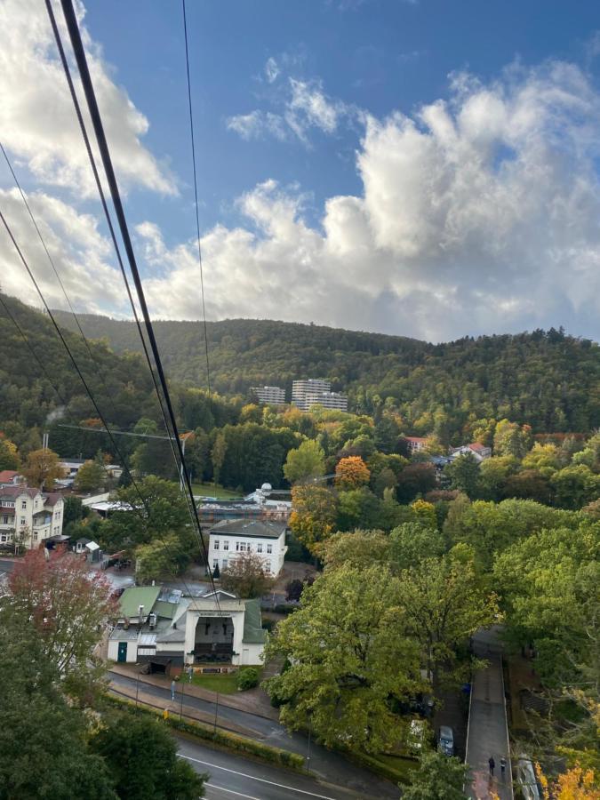 Ferienwohnung Relax Im Wald Bad Harzburg Exterior foto